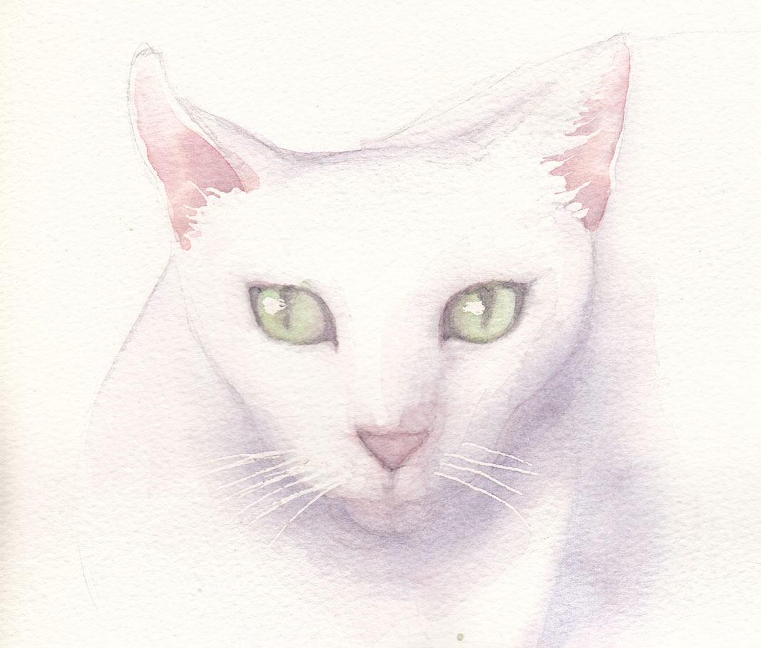 White Cat (watercolour)