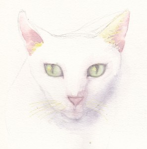 White-cat