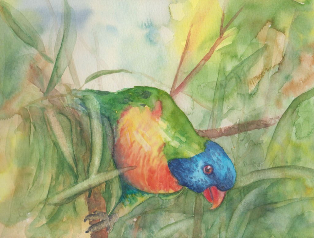 Rainbow Lorikeet (Watercolour)