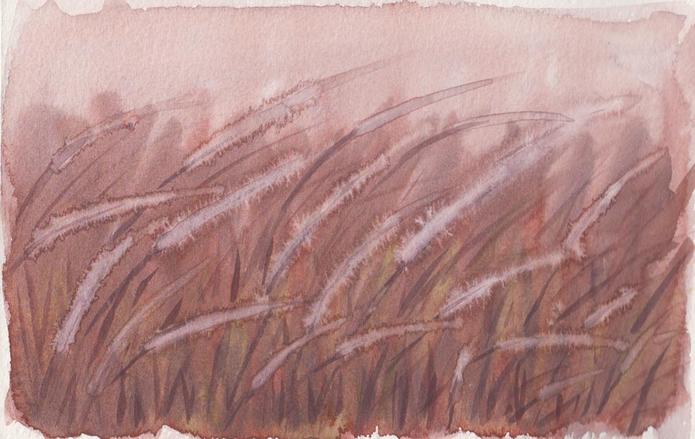 Grasses Attempt No. 3 (Watercolour)
