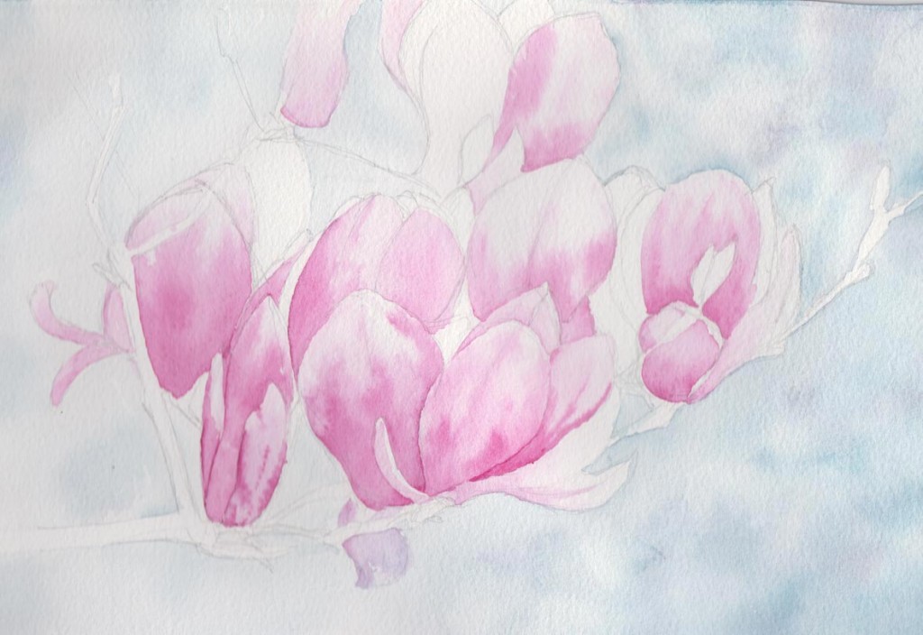 Magnolia Flowers (Watercolour)