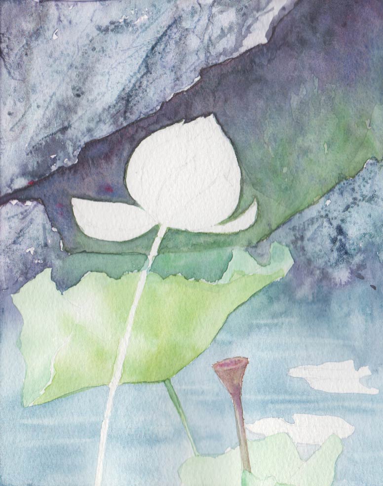 Lotus & Rocks (Watercolour)