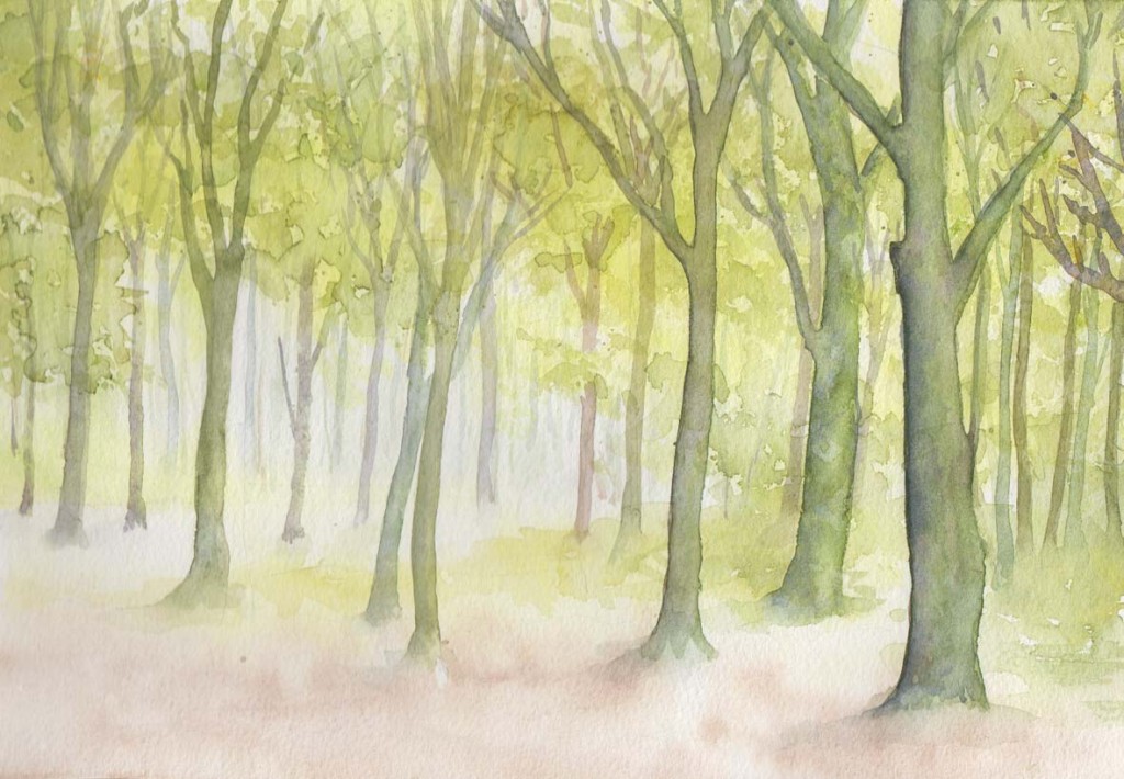 Spring Woodland (Watercolour)