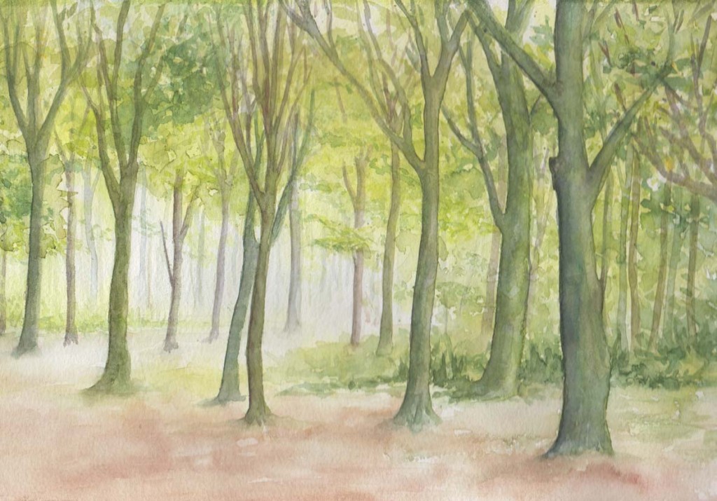 Spring Woodland (Watercolour)