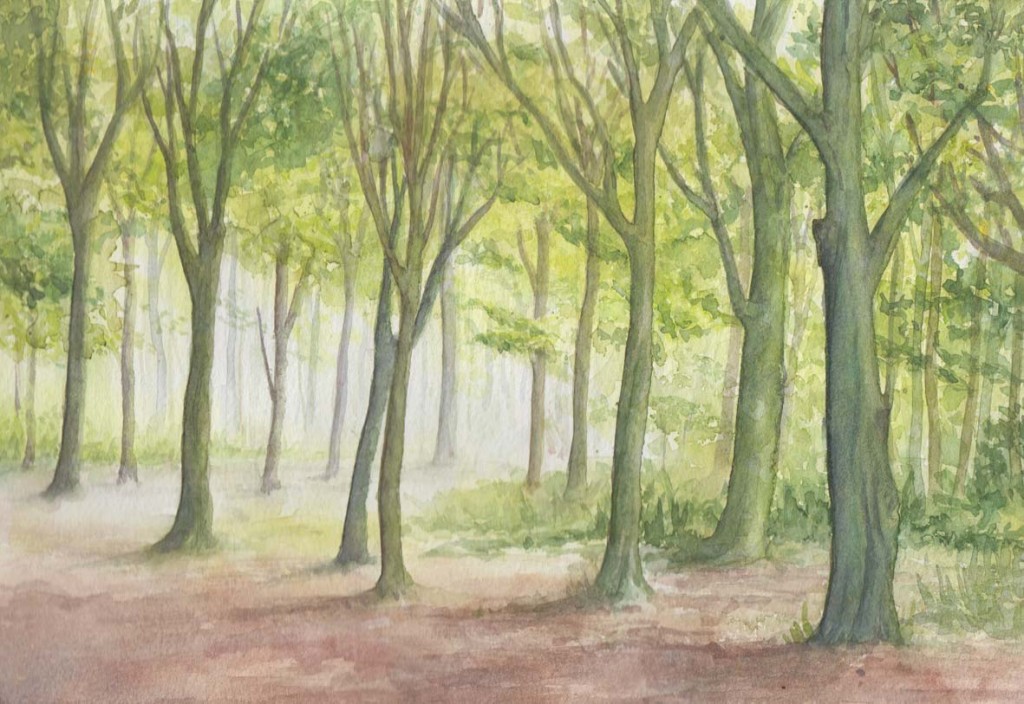 Spring Woodland (Watercolour)`Spring Woodland (Watercolour)