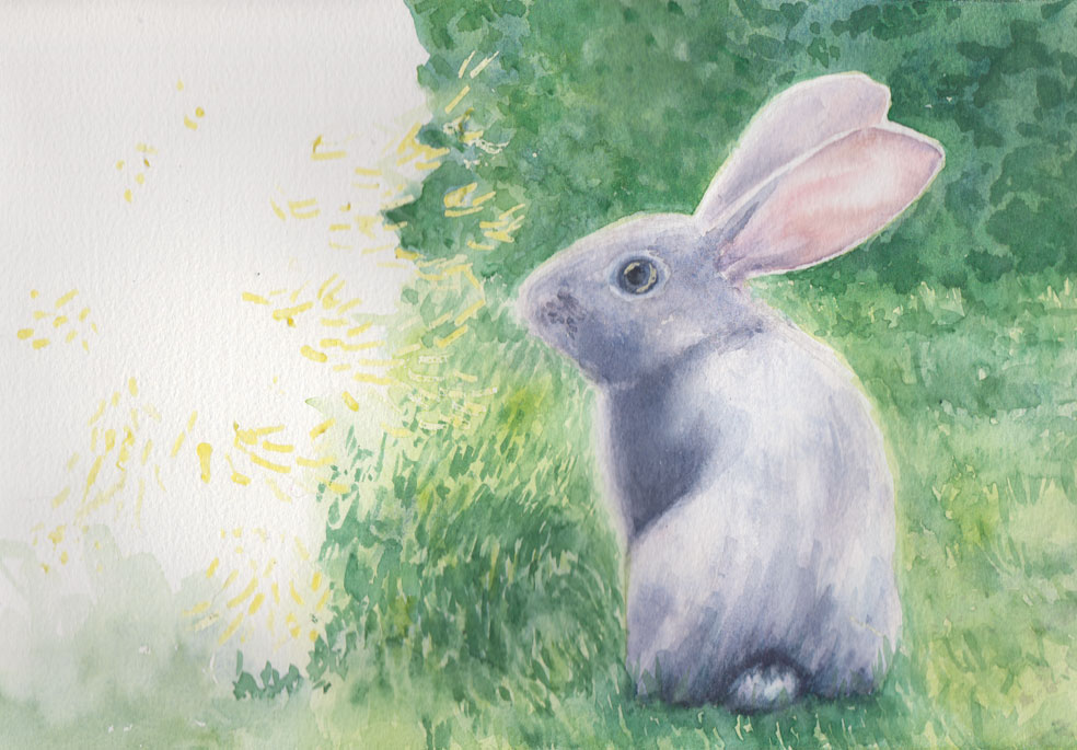 Baby Rabbit (Watercolour)