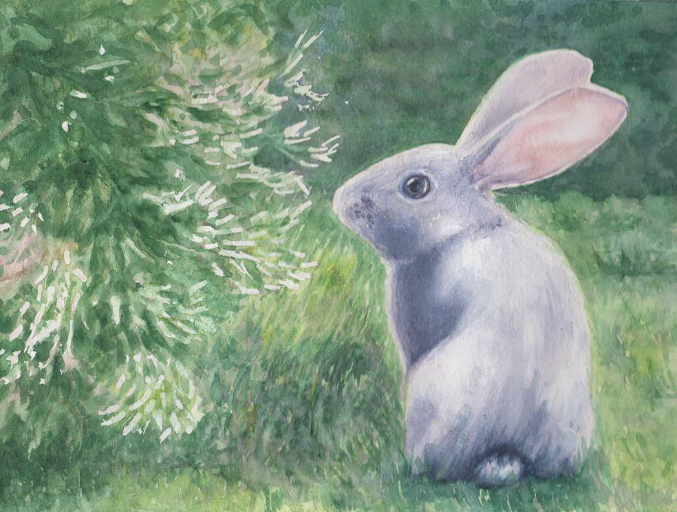 Baby Rabbit (Watercolour)