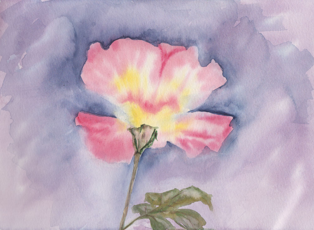 Vintage Rose (Watercolour)