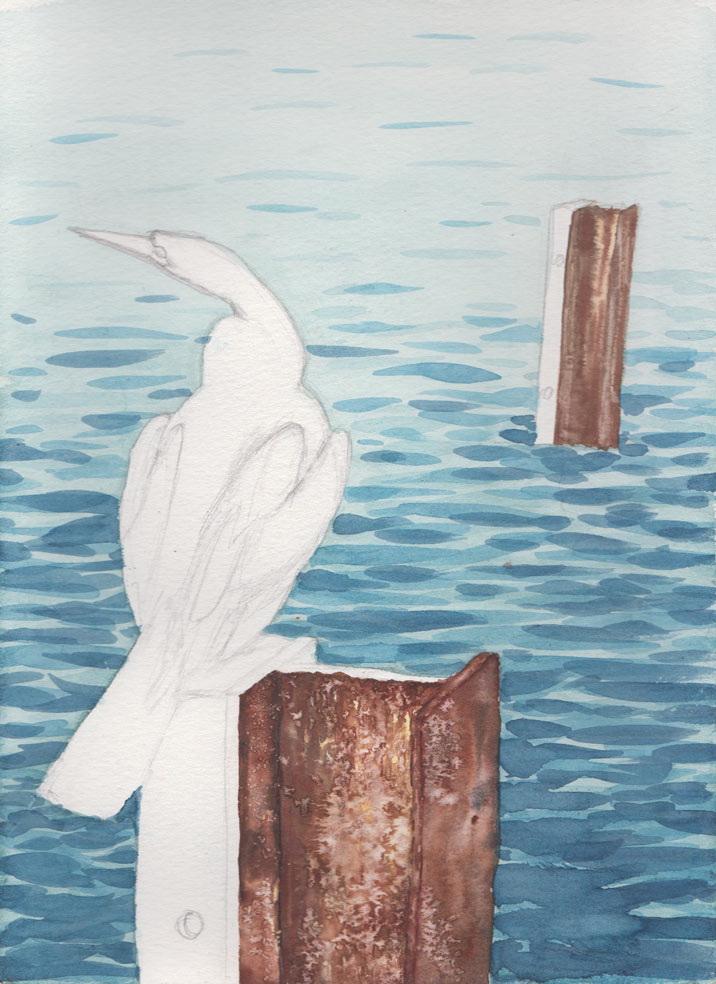 Cormorant on Post (Watercolour)