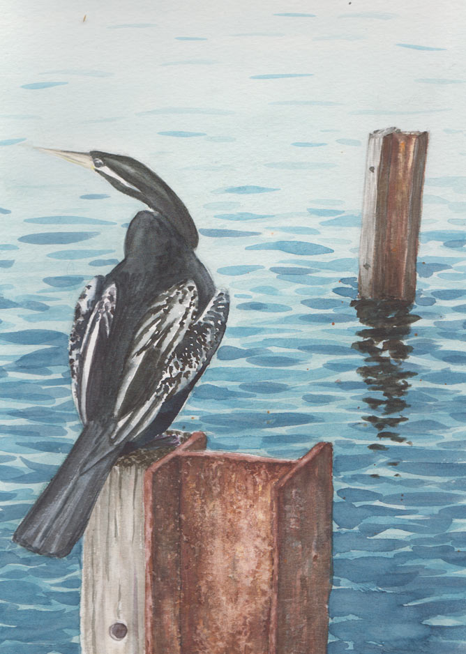 Cormorant on Post (Watercolour)