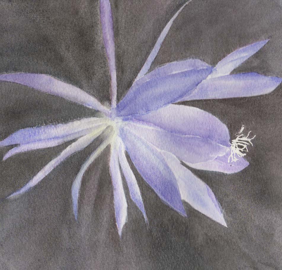 Blue Flower (Watercolour)