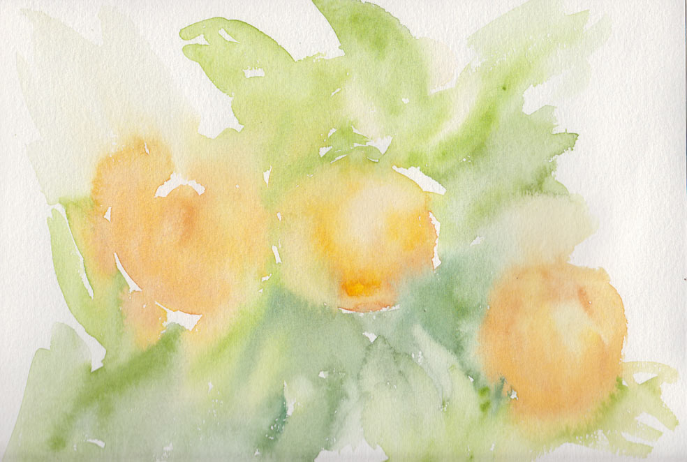 Oranges (Watercolour)