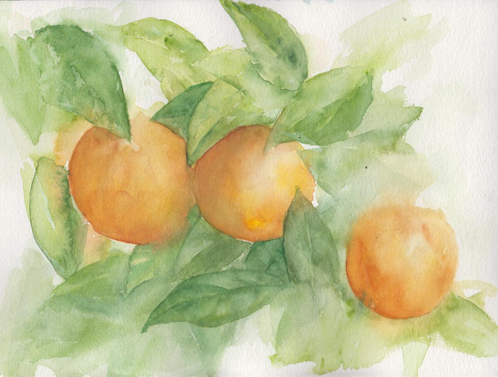 Oranges (Watercolour)