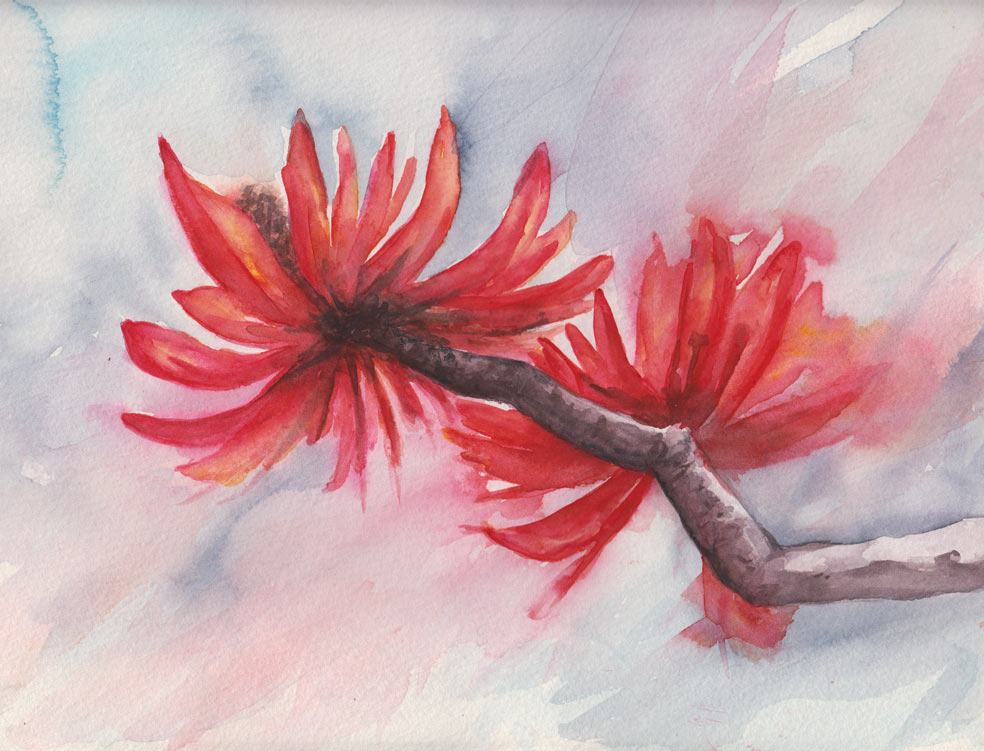 Flame Tree (Watercolour)