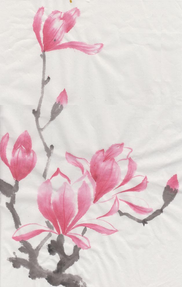 Magnolias (Chinese Spontaneous Style)
