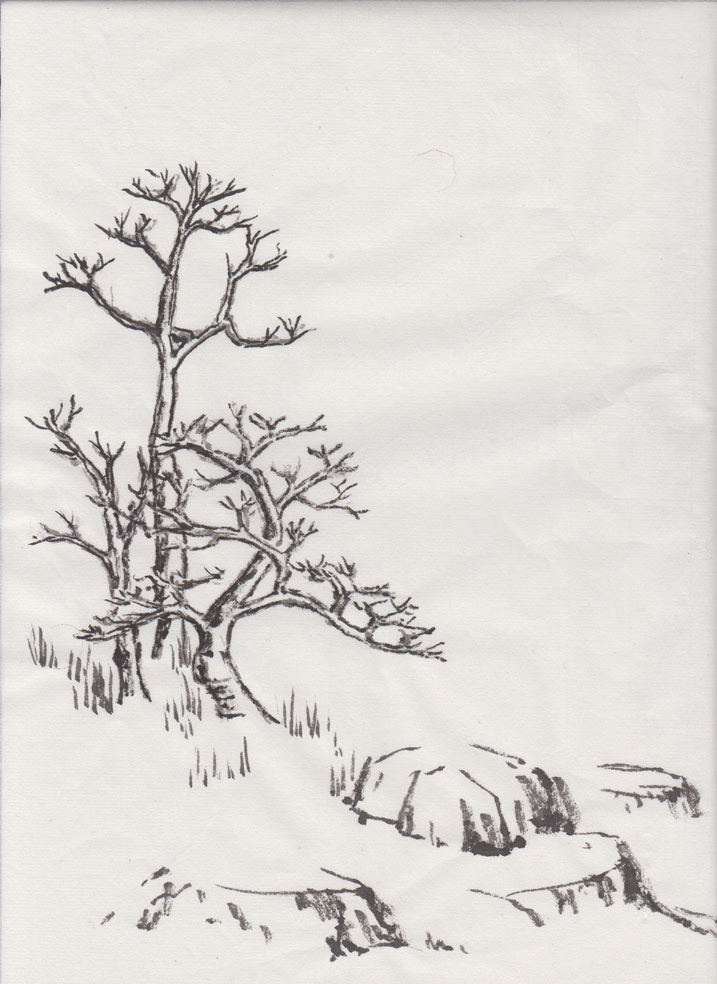 Winter Landscape (Chinese Spontaneous Style)