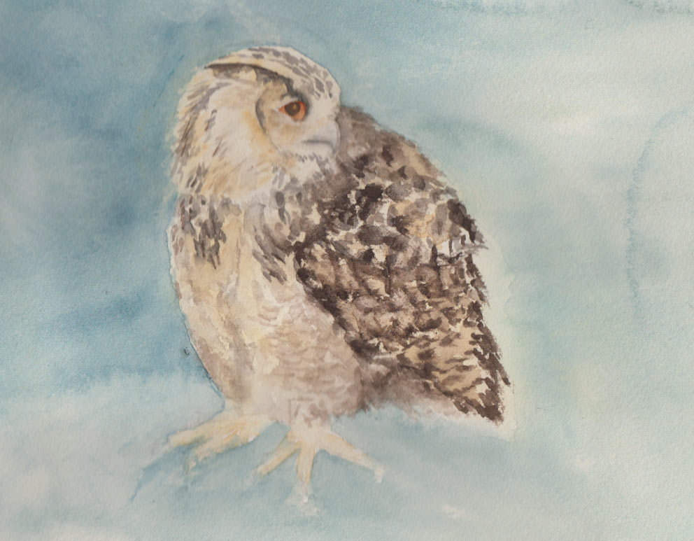 Turkmenian Eagle Owl (Watercolour)