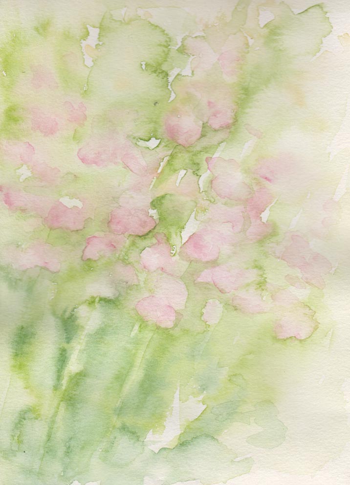 Snapdragons (Watercolour)