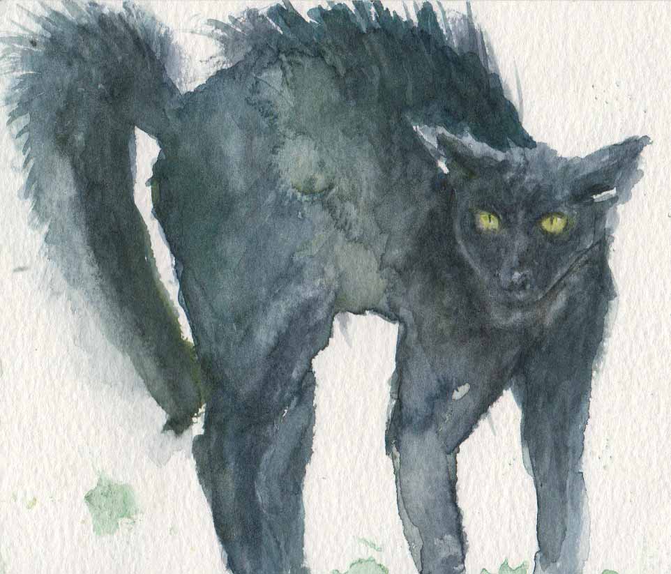 Mad Cat (Watercolour)