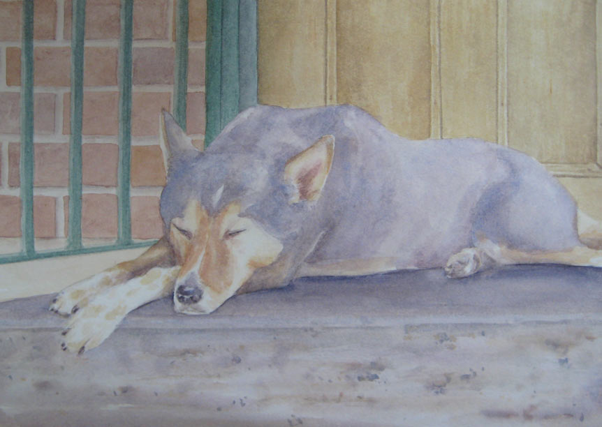 Snoozing (Watercolour)